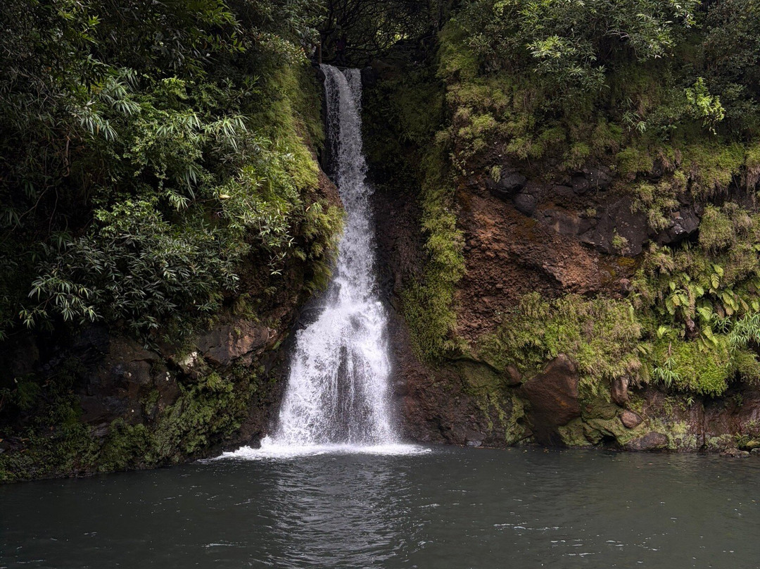 Vallé Advenature Park-Chamouny必去景点