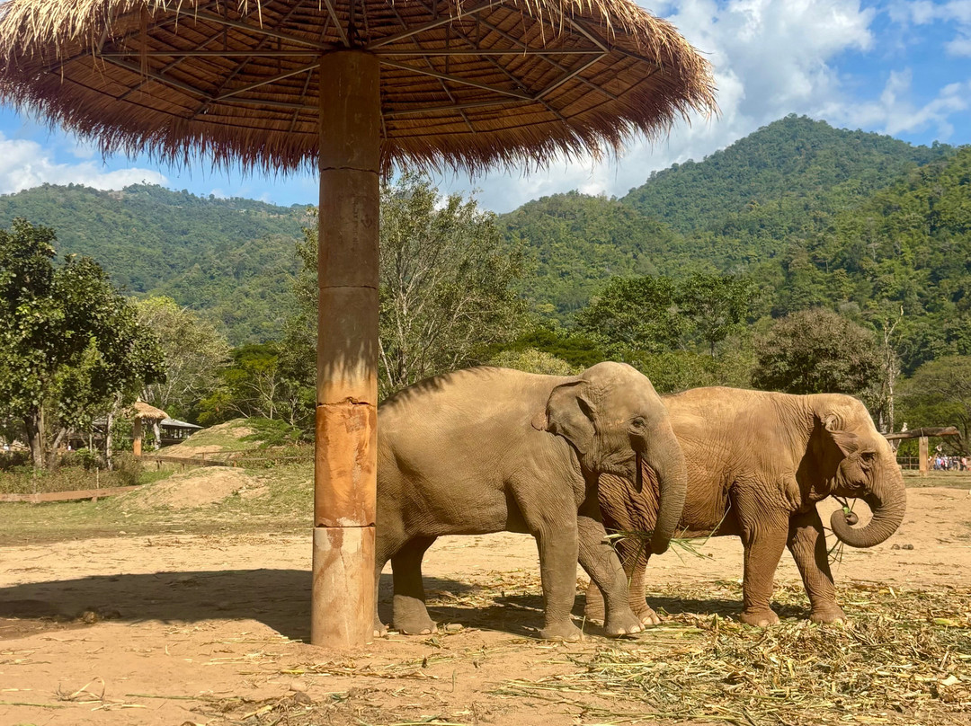 Expat Holidays Thailand-曼谷必去景点