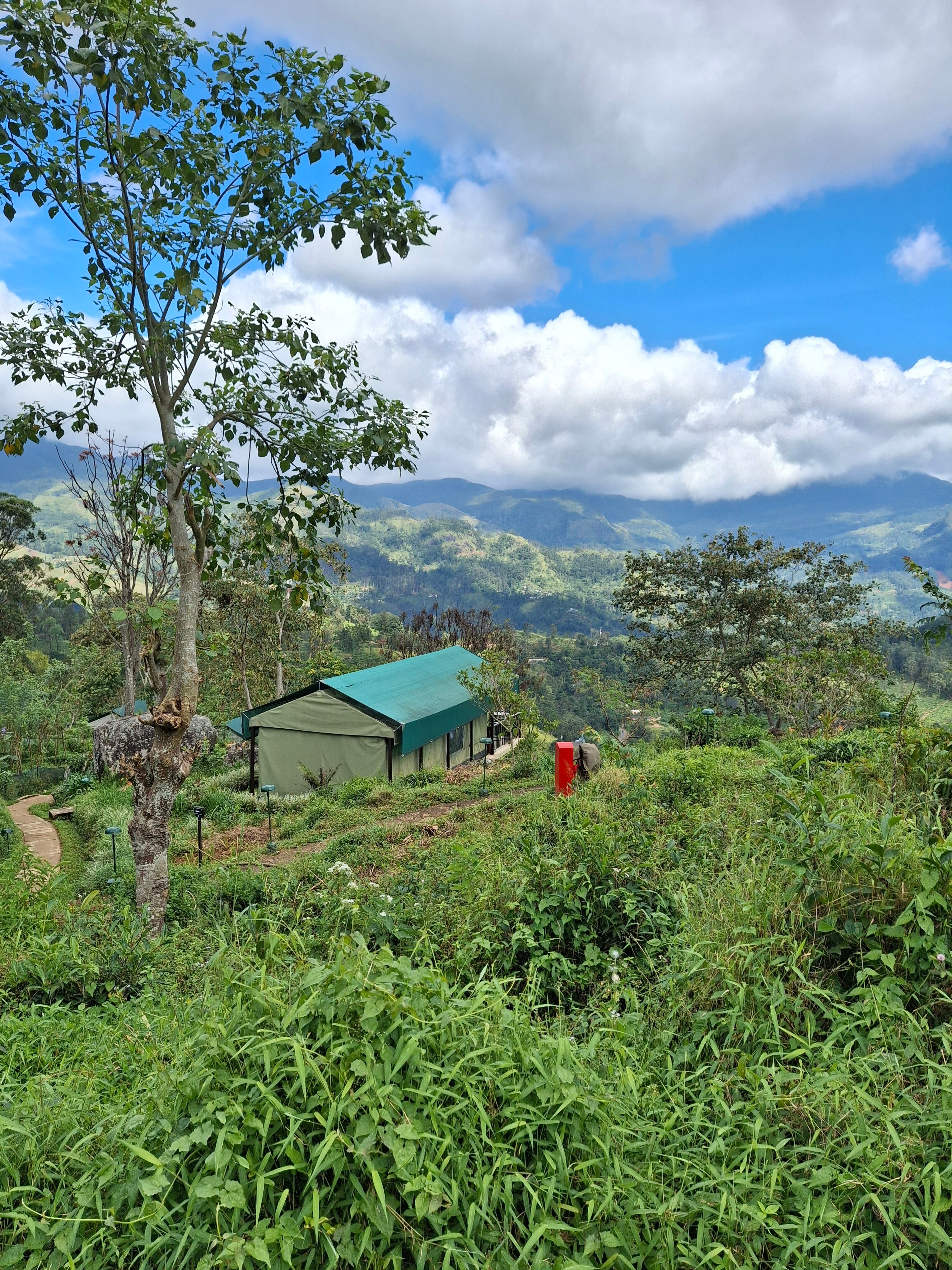 玛杜可茶园生态旅馆-浴室