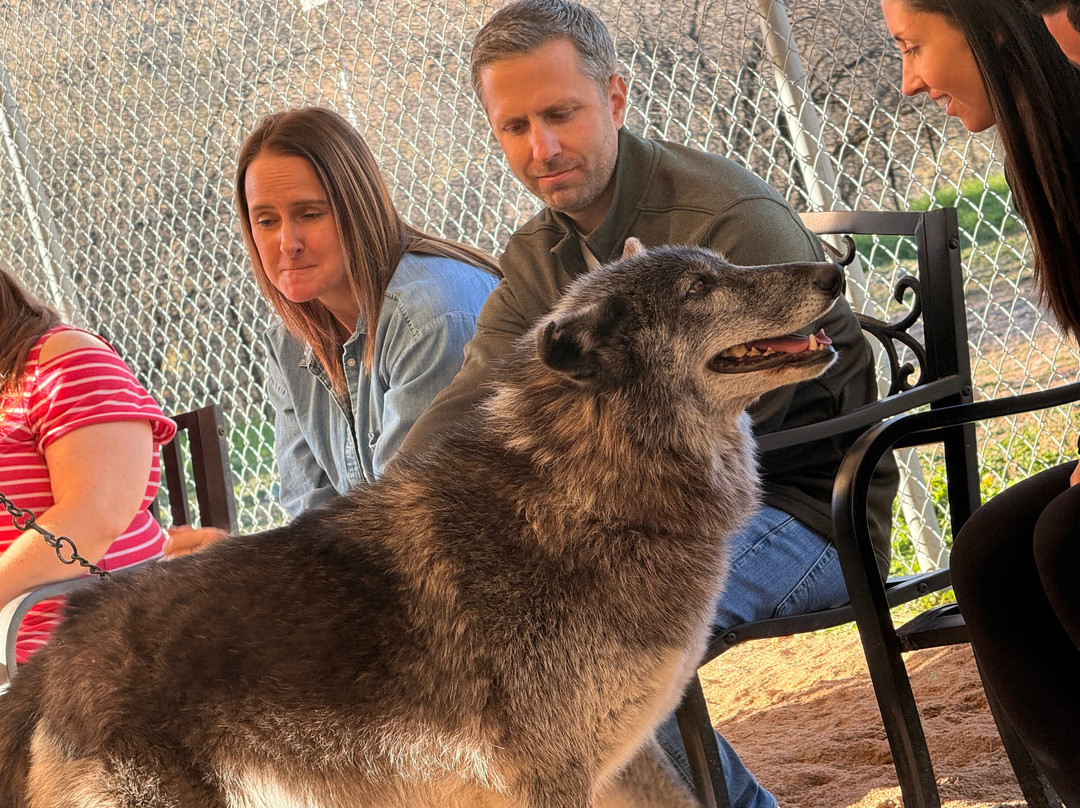 Sedona Wolf Sanctuary-Rimrock必去景点