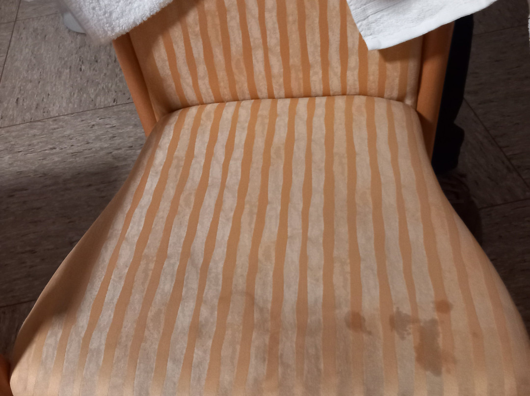 Wagner Hotel & Pensionshaus主图