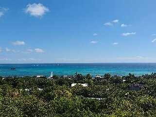 Jardín Botánico de San Andrés-圣安德烈斯必去景点