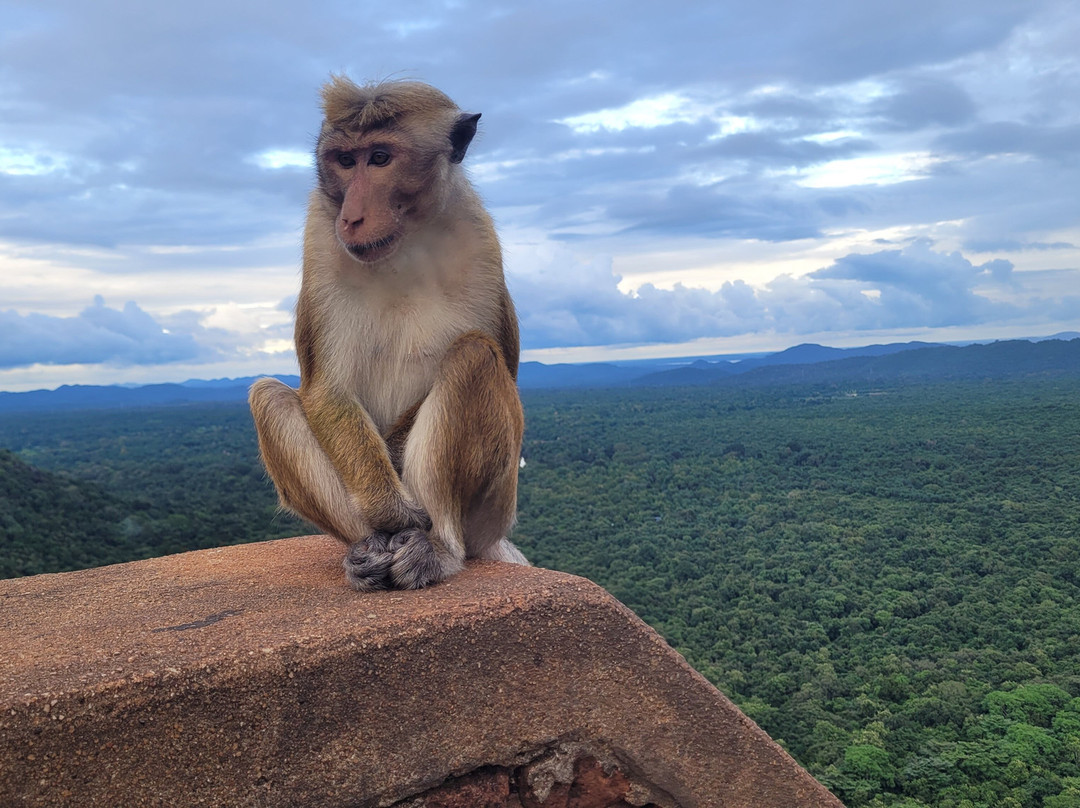 BH Lanka Tours-Kurunegala必去景点