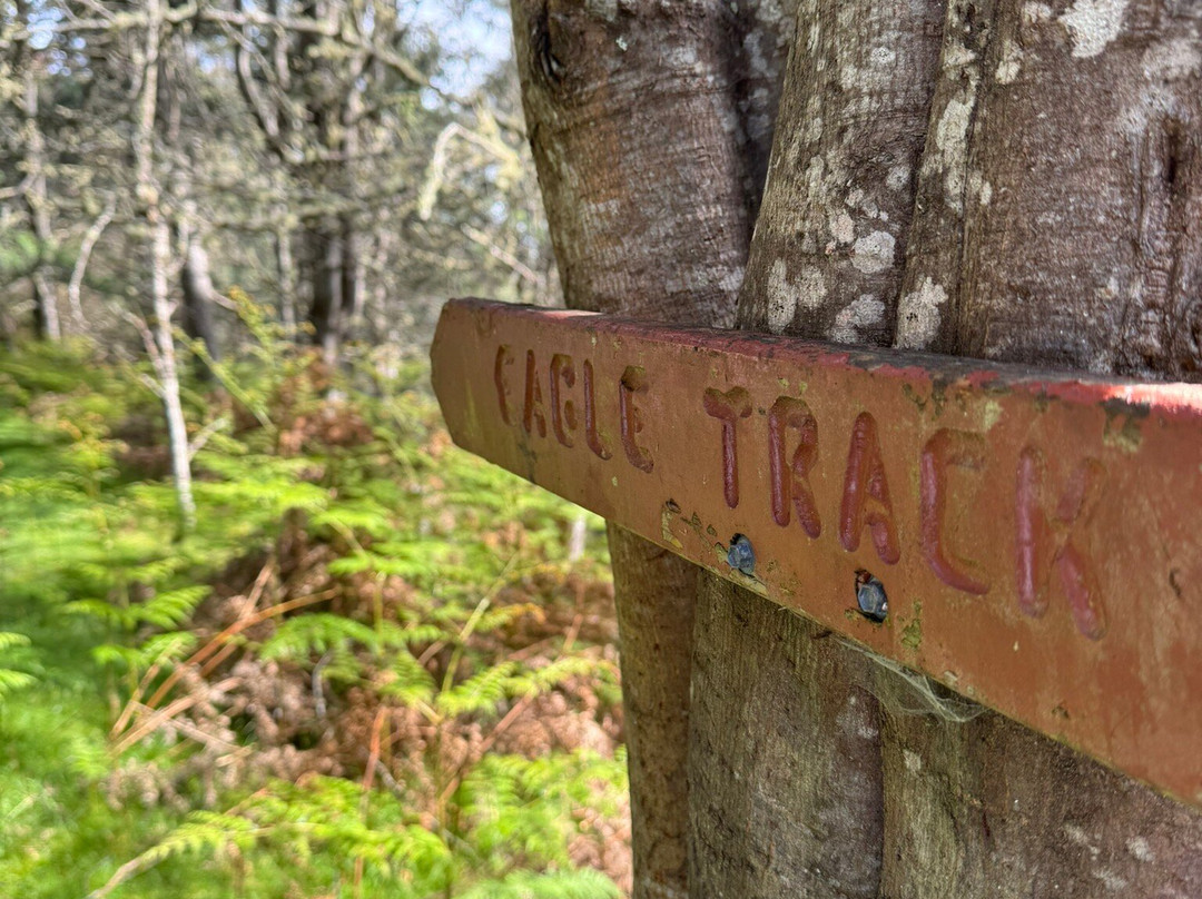 Tarraleah Cottages and Cabins主图