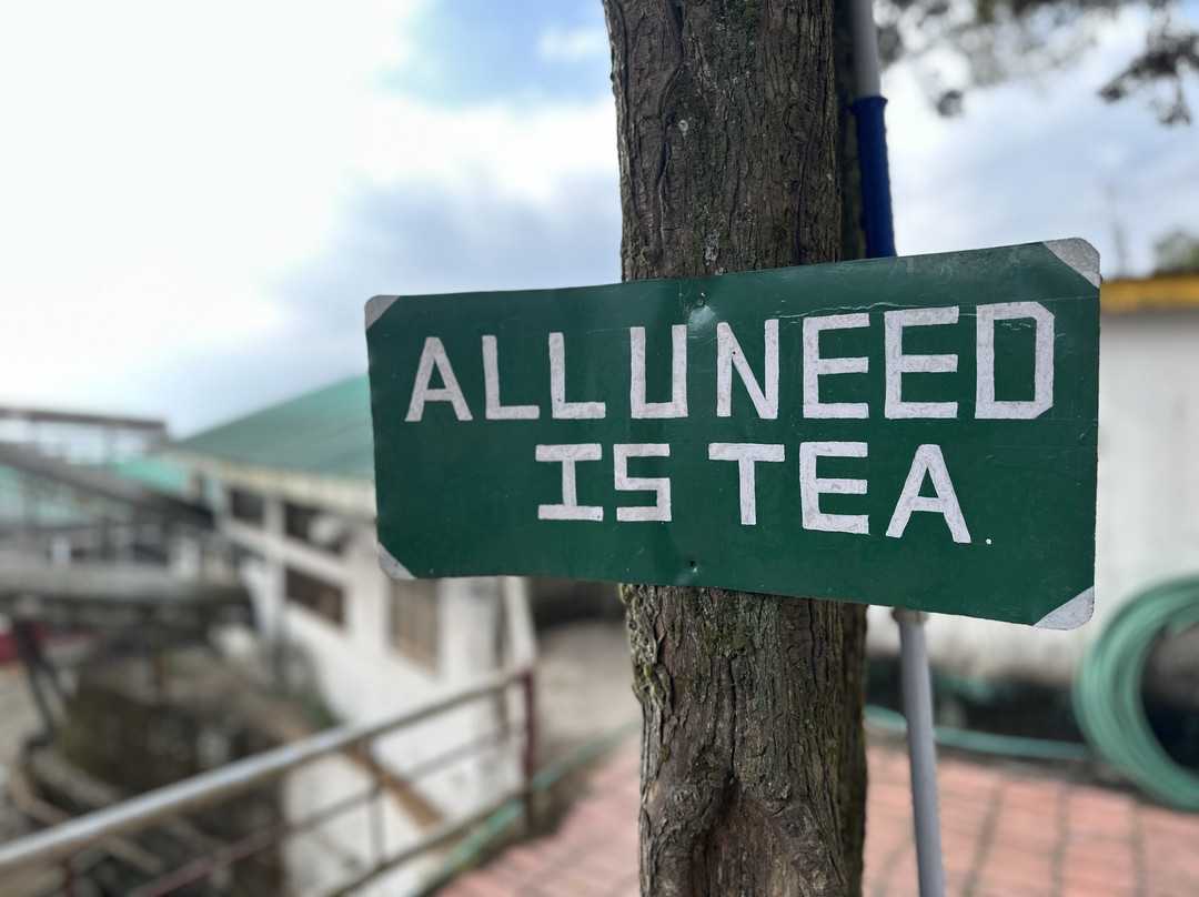 Happy Valley Tea Estate-大吉岭必去景点