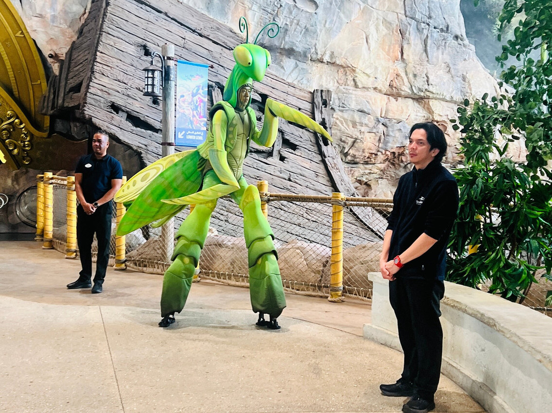 SeaWorld Yas Island Abu Dhabi-阿布扎比必去景点