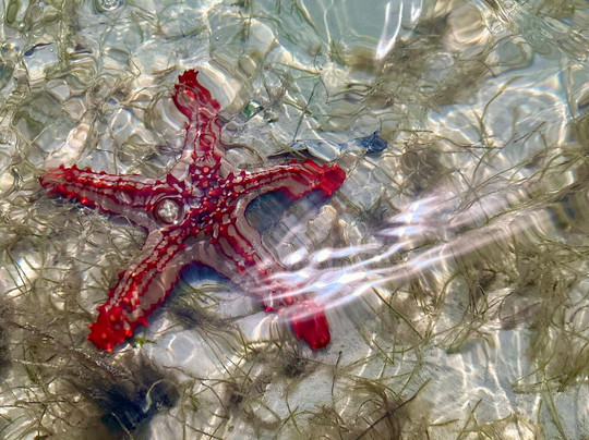 Shadows of Africa-阿鲁沙必去景点