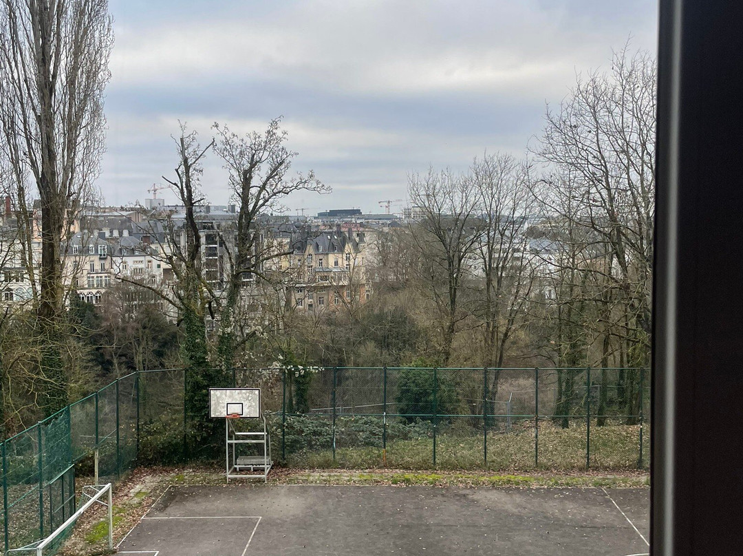 卢森堡高瑞斯集团主图