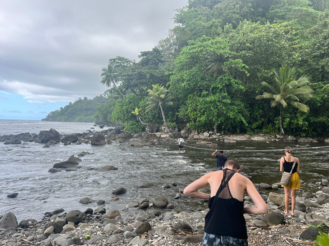 Lavena Coastal Walk-塔韦乌尼岛必去景点