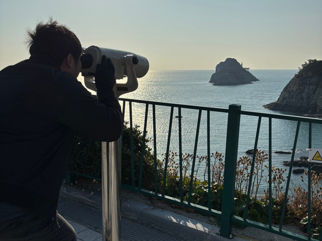 五六岛天空步道-釜山必去景点