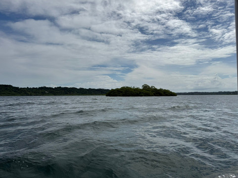 Bocas Islands Adventours-Bocas del Toro必去景点