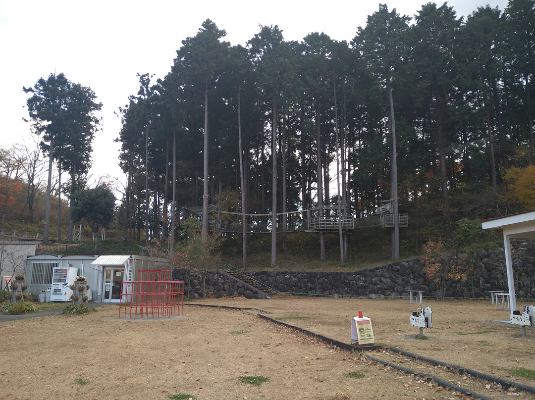 Yamakita Tsuburano Park-山北町必去景点