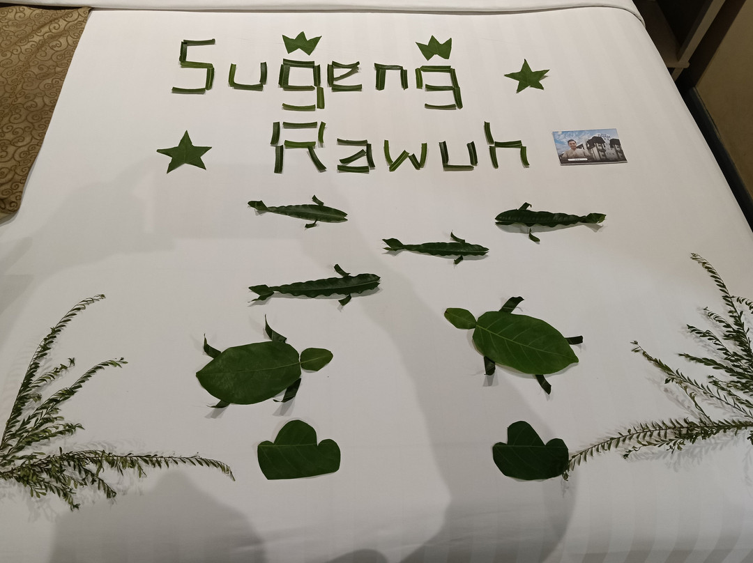 达法姆赛玛扬酒店主图