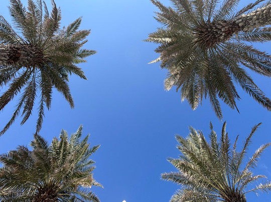 Saadiyat Beach Club-阿布扎比必去景点