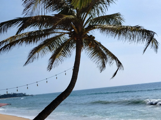 Arcade Beach Hotel主图