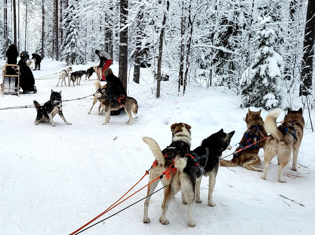 Arctic GM Experiences OY-罗瓦涅米必去景点