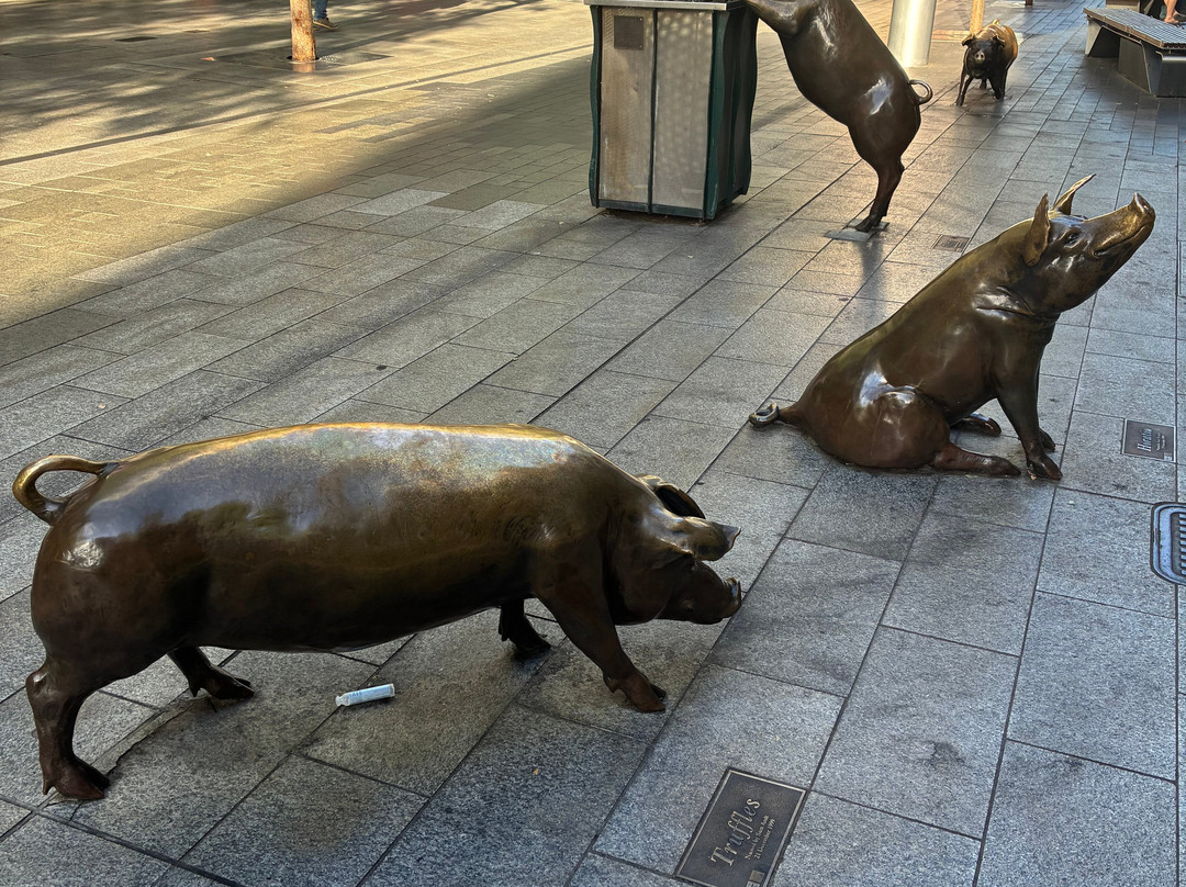 The Rundle Mall Pigs-阿德莱德必去景点