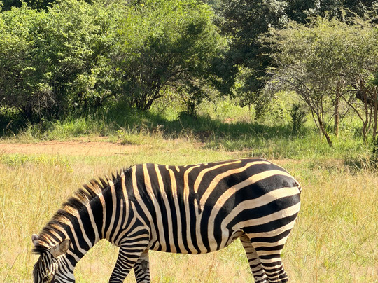 ZALA SAFARIS-Ruhengeri必去景点