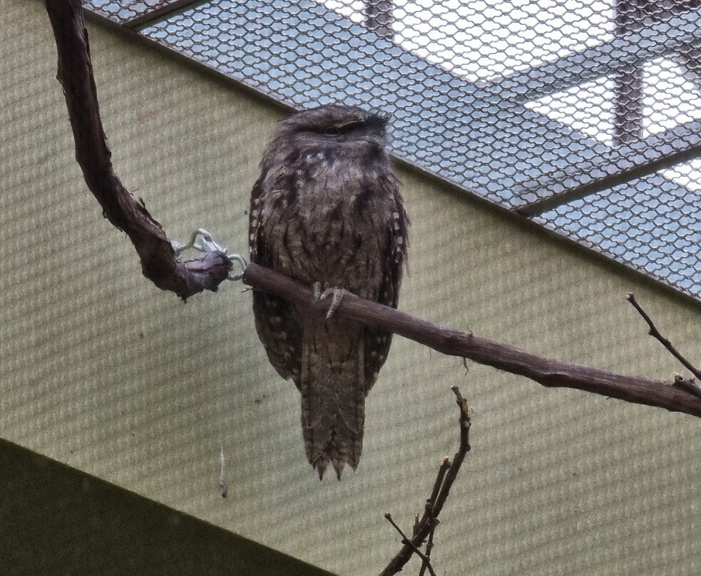 国家鸟类公园-匹兹堡必去景点