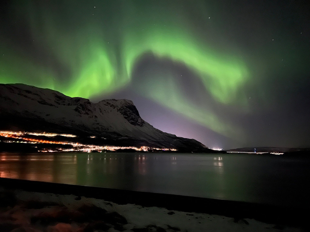 Day Out Narvik-纳尔维克必去景点