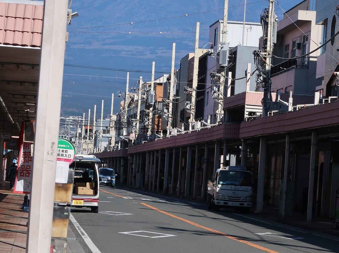 Fuji Honchodori-富士市必去景点