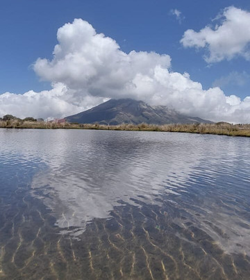No Worries Tours-特拉维夫必去景点