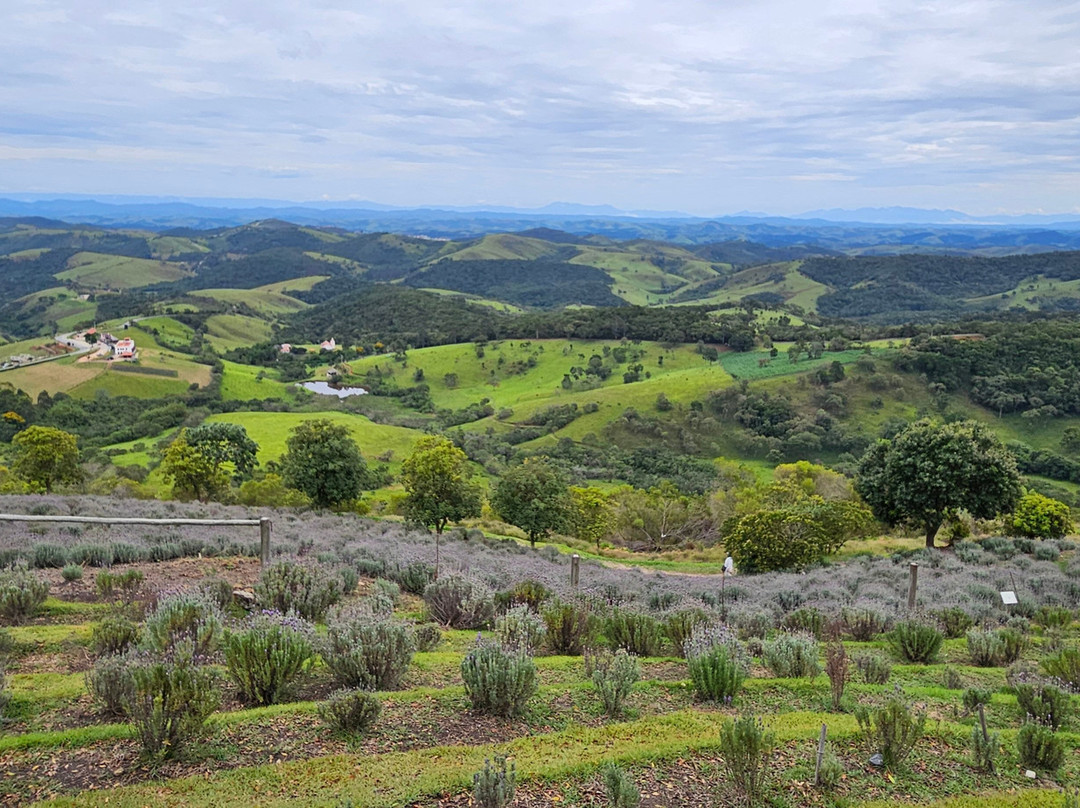 Lavandario-Cunha必去景点