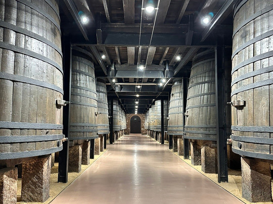 Bodegas Franco Espanolas-洛格罗尼奥必去景点