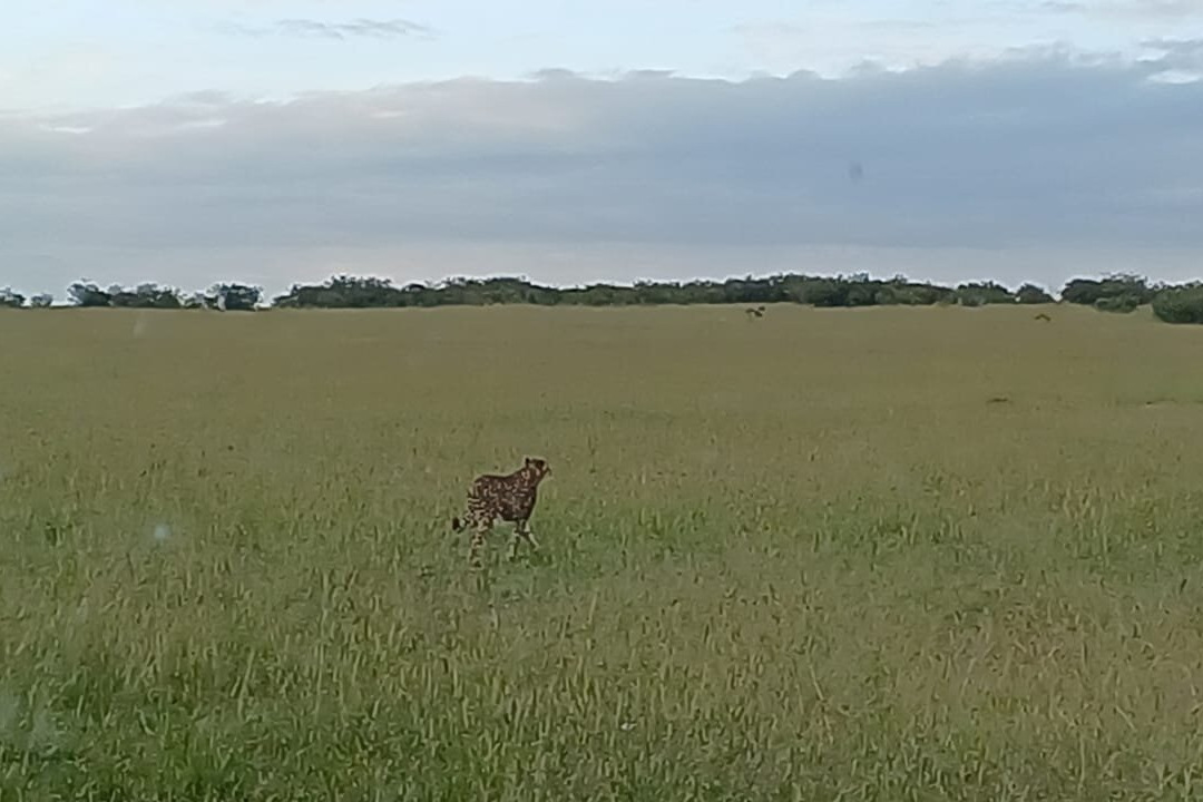 Bontel Adventures-内罗毕必去景点