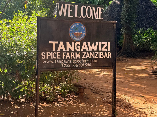 Tangawizi Spice Farm-石头城必去景点