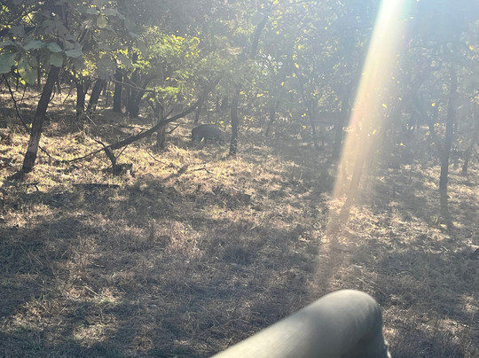 Club Mahindra Gir Resort主图