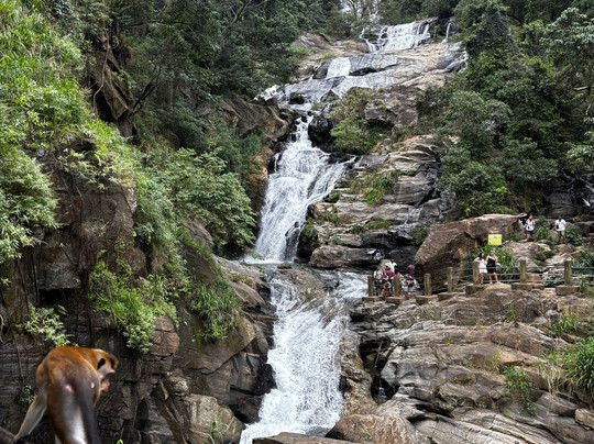 Nandika de silva-瓦都瓦必去景点
