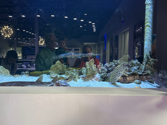 Boca Aquarium-博卡拉顿必去景点