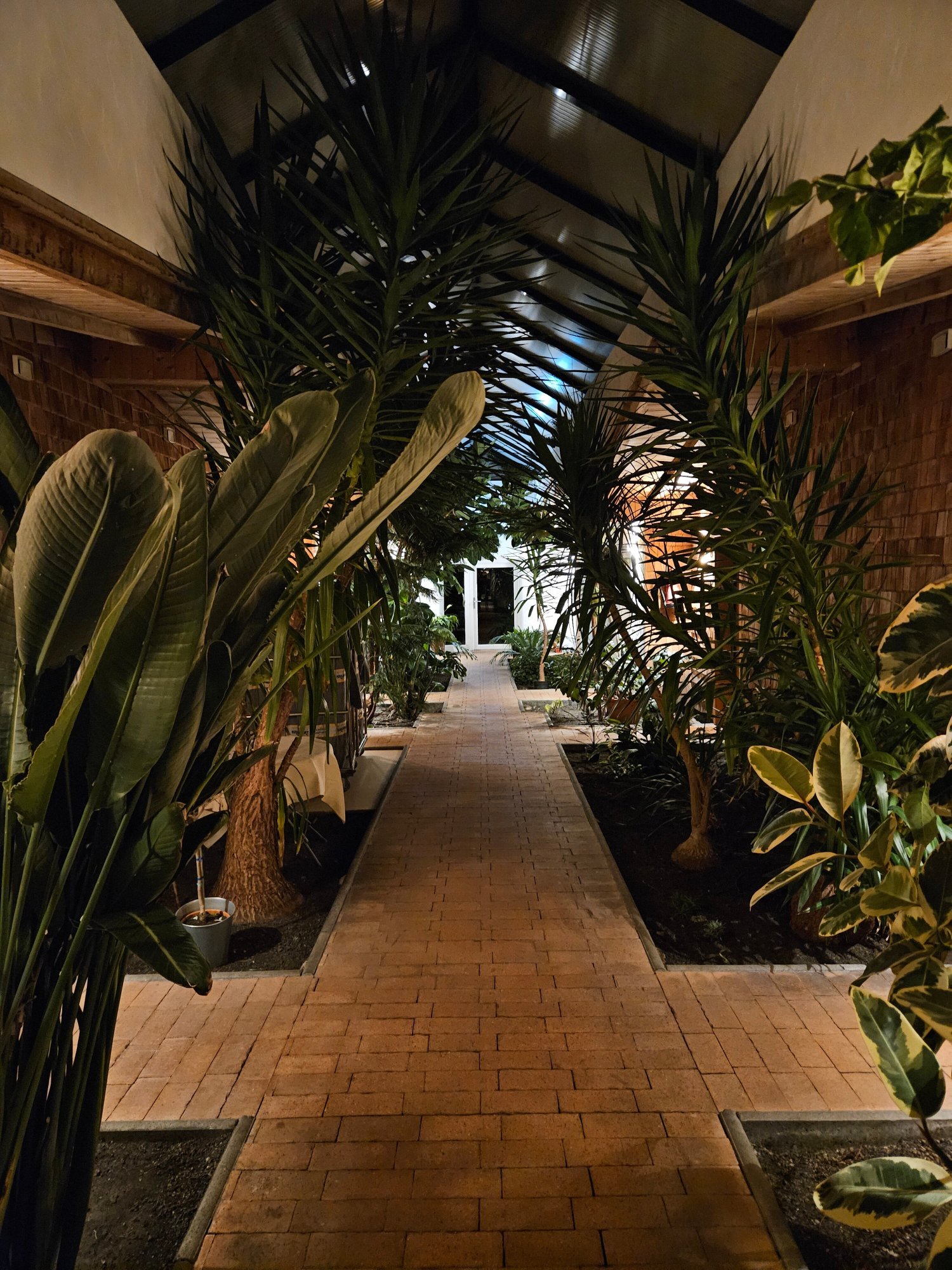 Landhotel Grashof-浴室