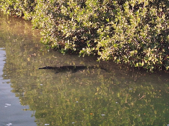 Santi Tour-普拉亚德尔卡曼必去景点