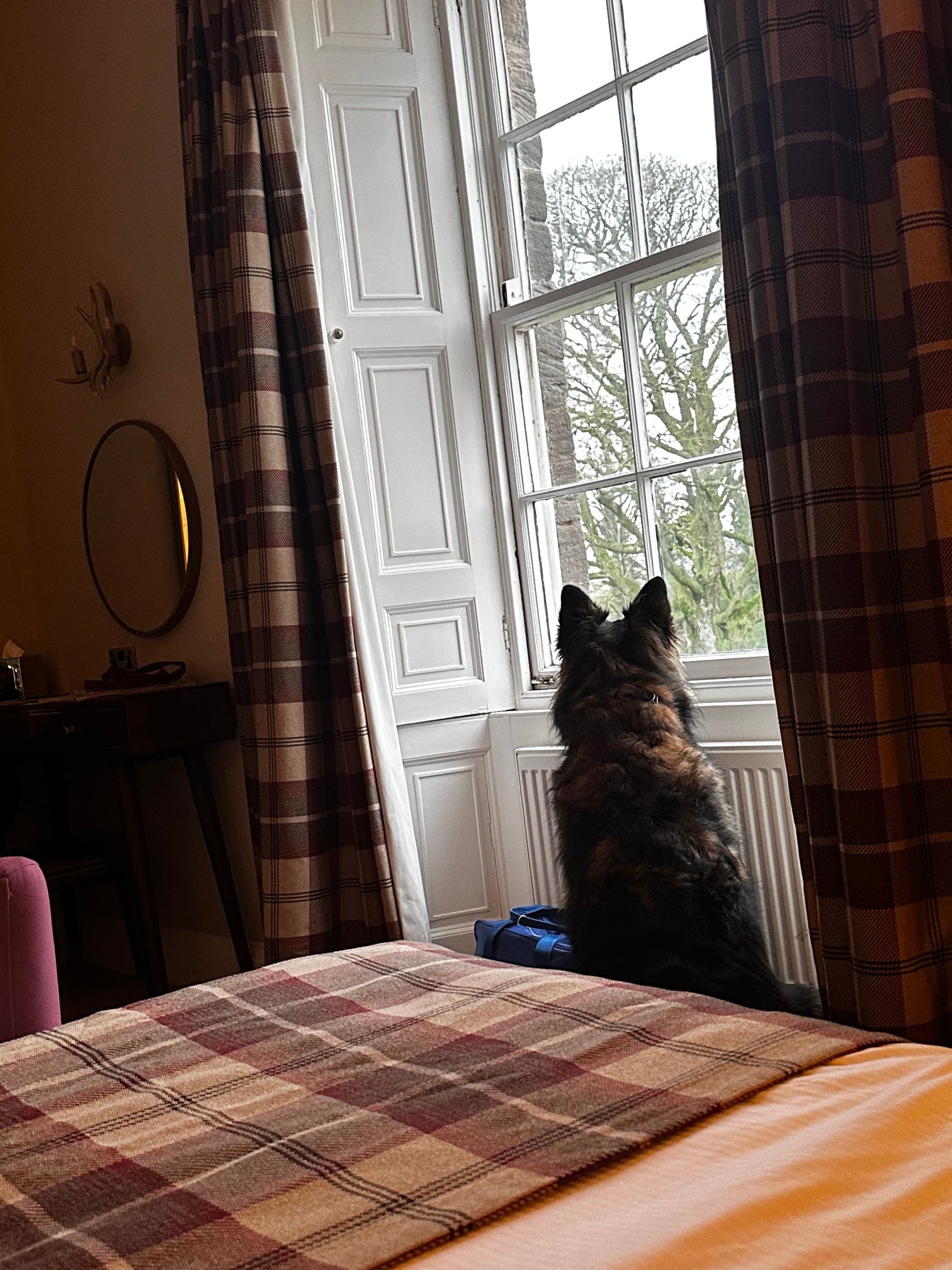 马歇尔牧场乡村别墅酒店-官方