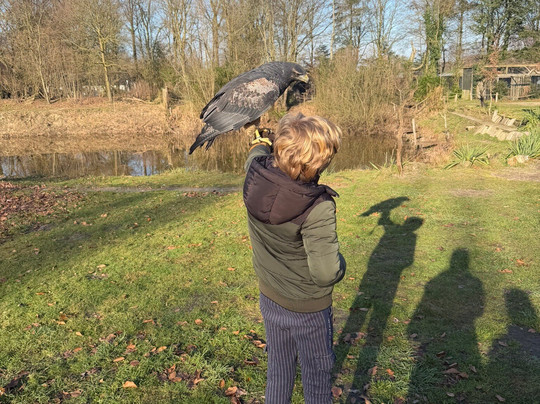 Topvogel-Diessen必去景点