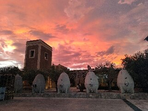 Bodega Los Toneles-门多萨必去景点