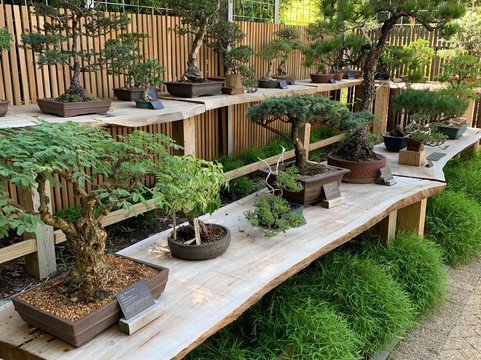 Stellenbosch University Botanical Garden-斯泰伦博斯必去景点