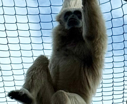 Terra Natura Benidorm-贝尼多姆必去景点