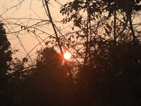 Safari Monks-Bandhavgarh National Park必去景点