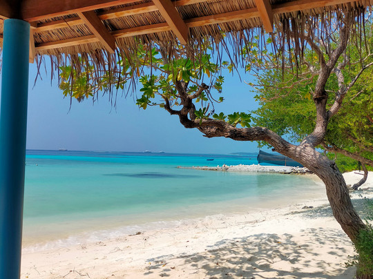 Into the Blue Lodge主图