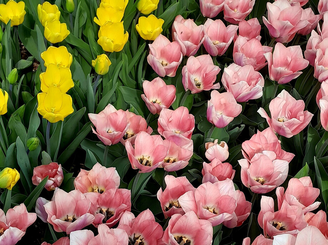 Grey's Court-泰晤士河畔亨利必去景点