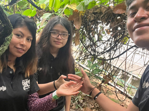 Mariposario DEDALMA-Mera必去景点