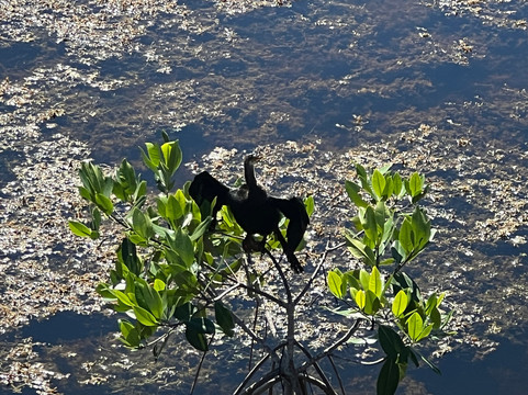 KUZÁ Beach & Adventure Park - Cozumel-考祖梅必去景点