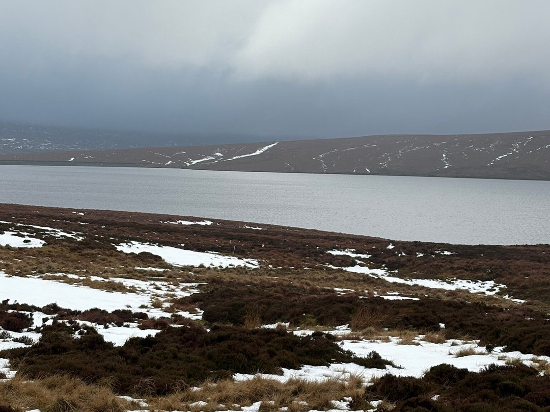 Cauldron Snout-Forest-in-Teesdale必去景点