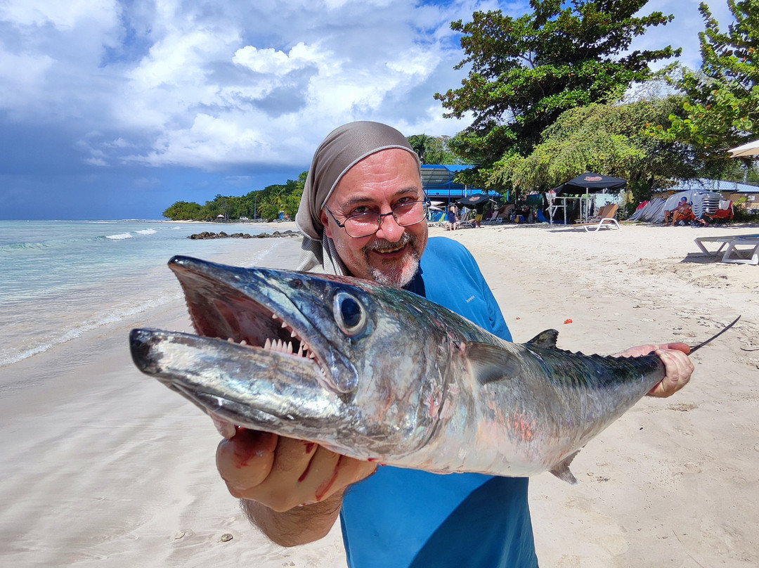 Island Man Tours-克朗波因特必去景点