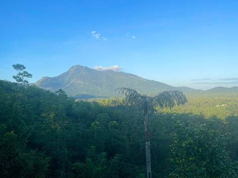 Jim's Farm Villas主图