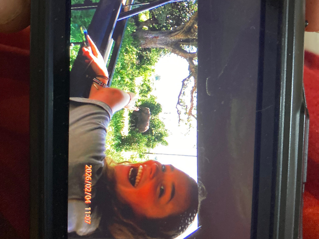 Shafino Wildlife Safaris-阿鲁沙必去景点