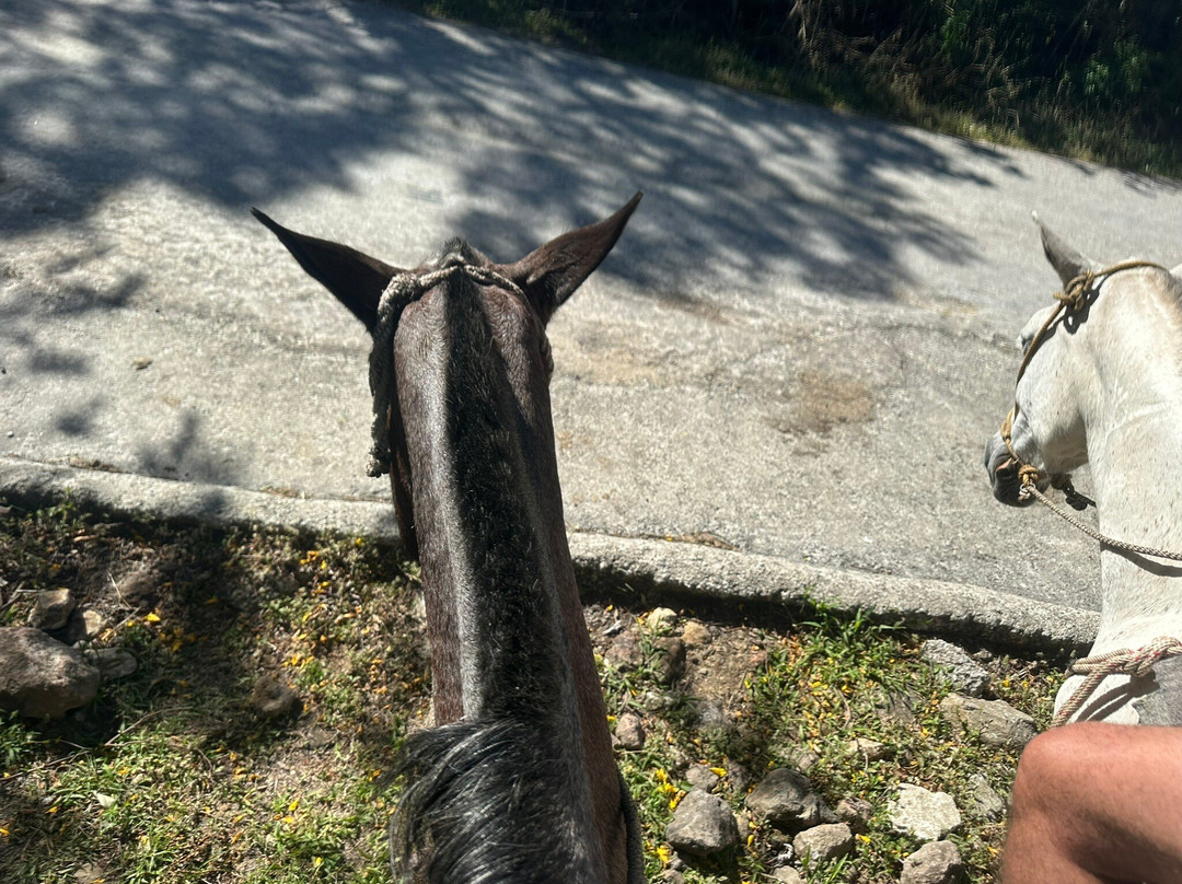 Costa Rica Best Trips-Gulf of Papagayo必去景点